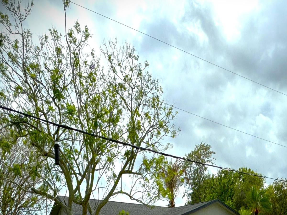 MLS #B26024772 image #0