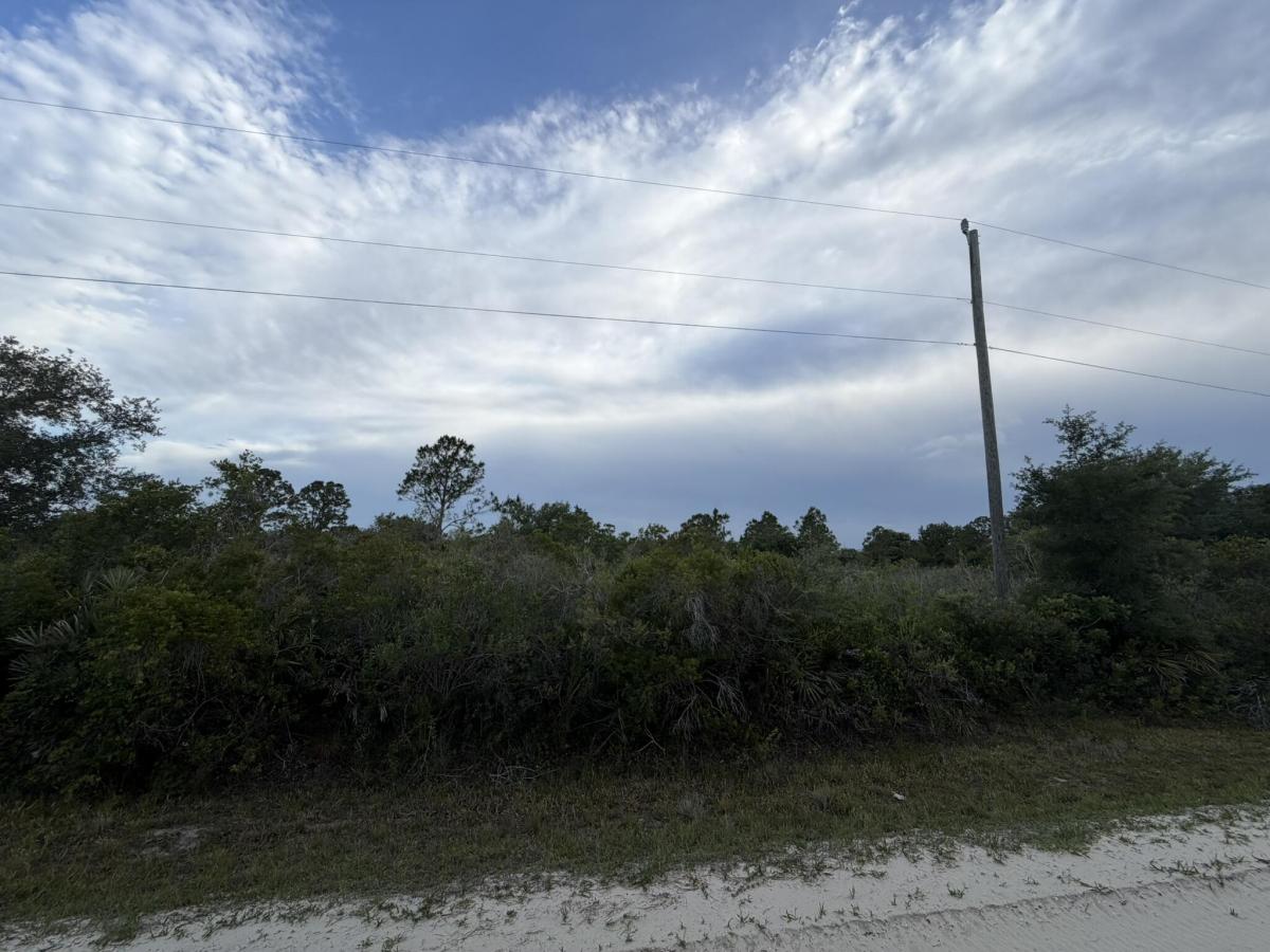 MLS #B26029680 image #0