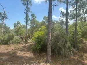 MLS #B26041677 image #0