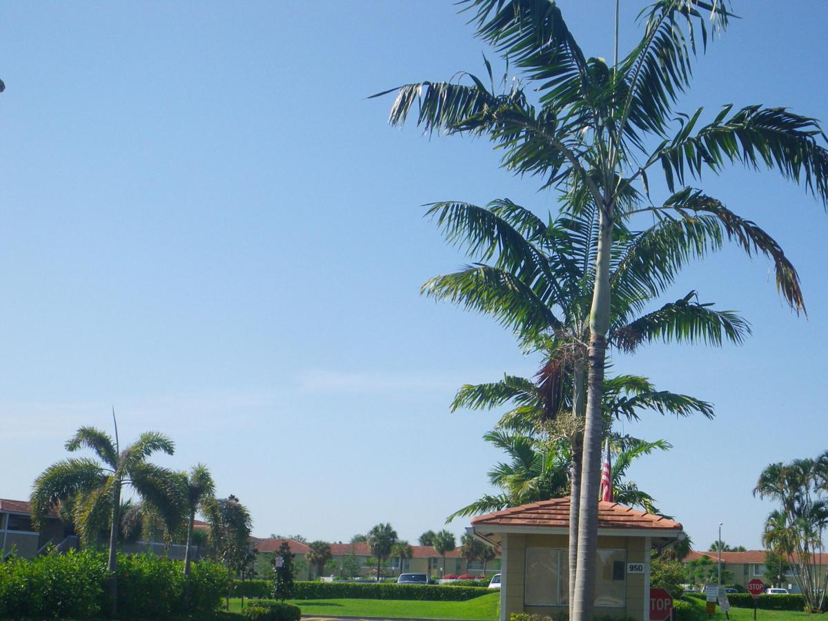 MLS #B26046239 image #0