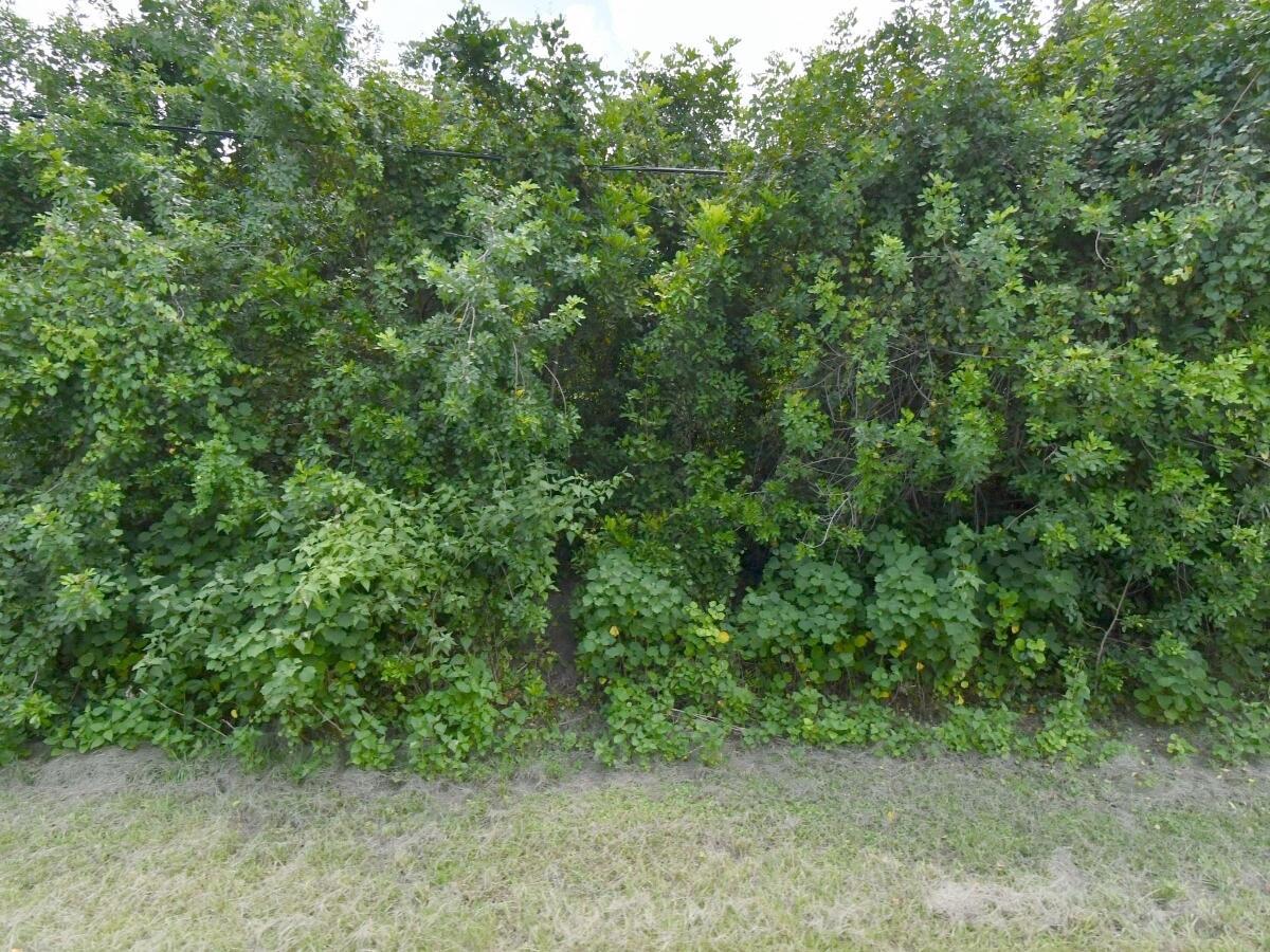 MLS #B26056750 image #0