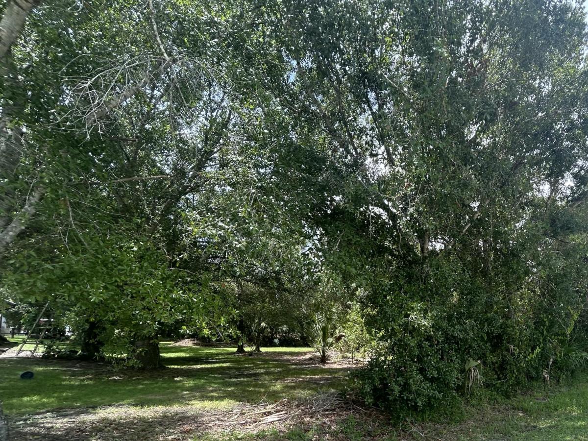 MLS #B26059890 image #0