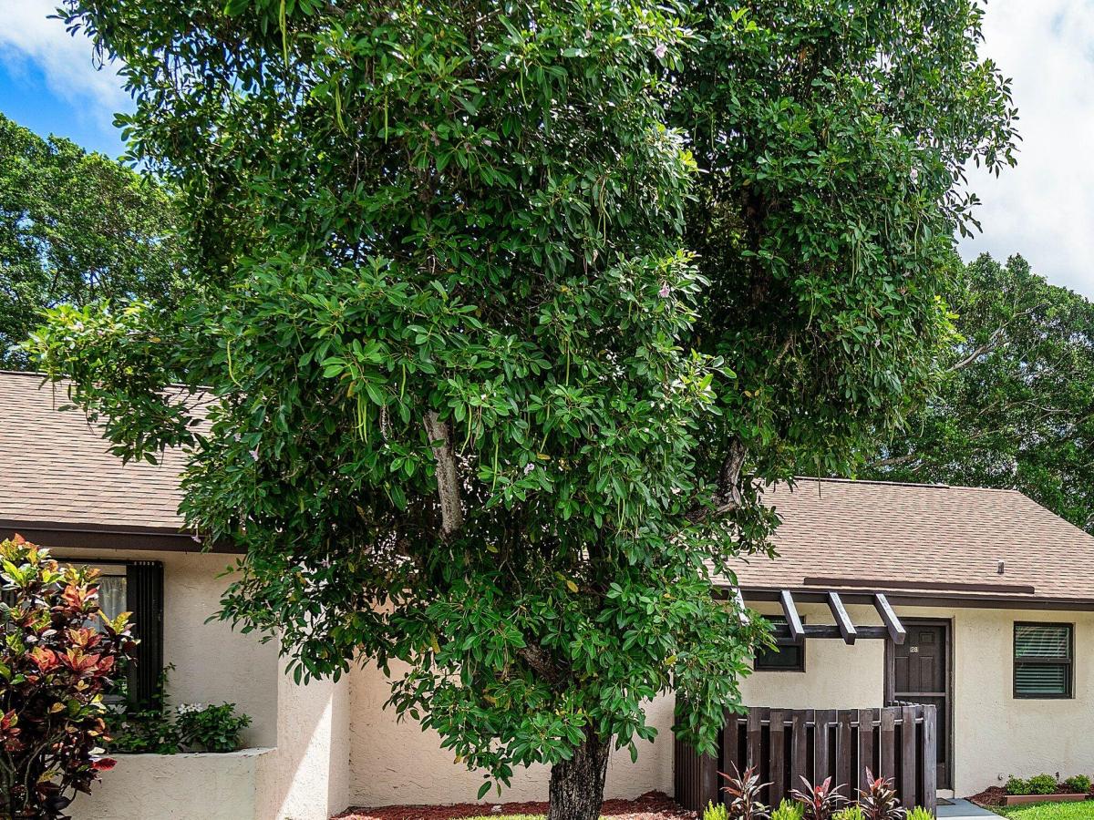 MLS #B26061560 image #0