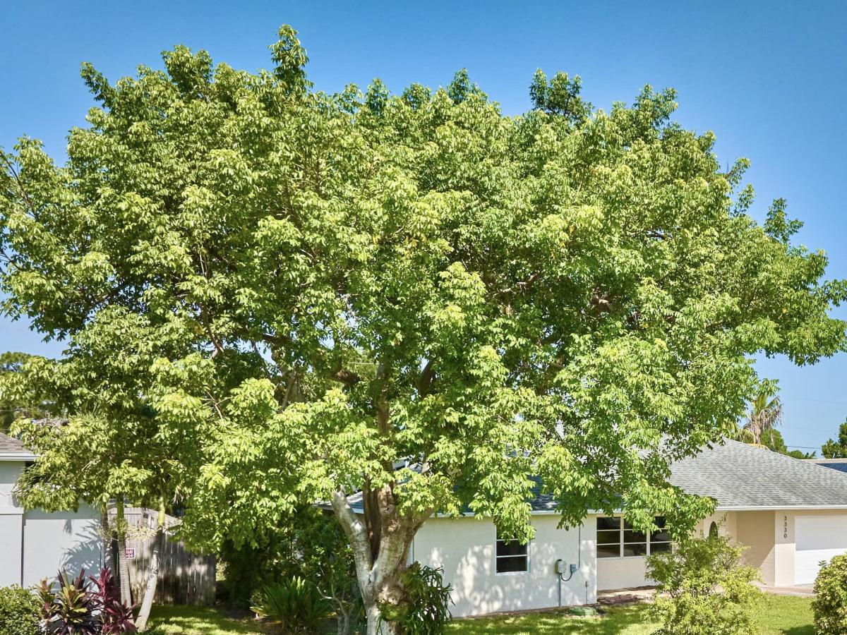 MLS #B26066779 image #0
