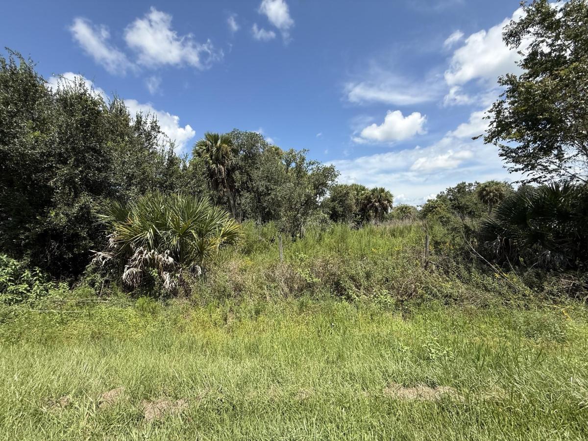MLS #B26069559 image #0
