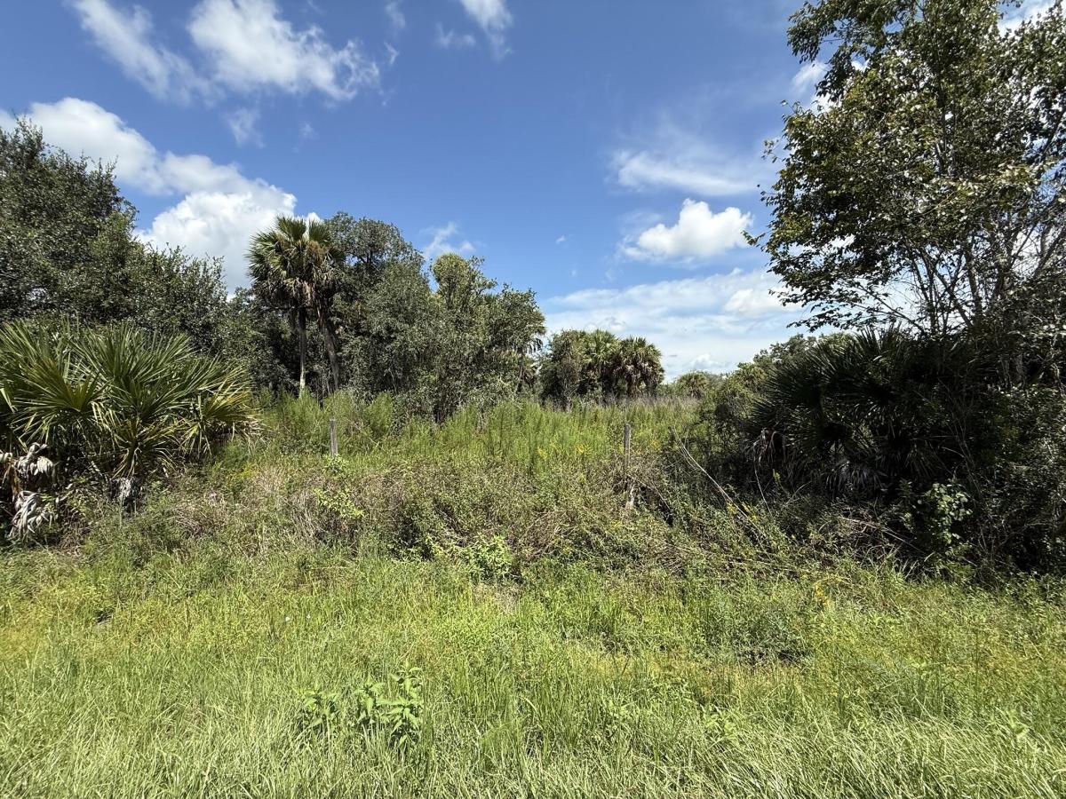 MLS #B26069559 image #0