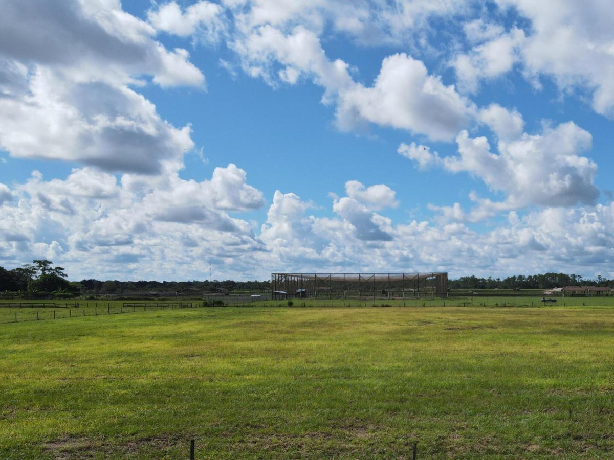 MLS #B26075319 image #0