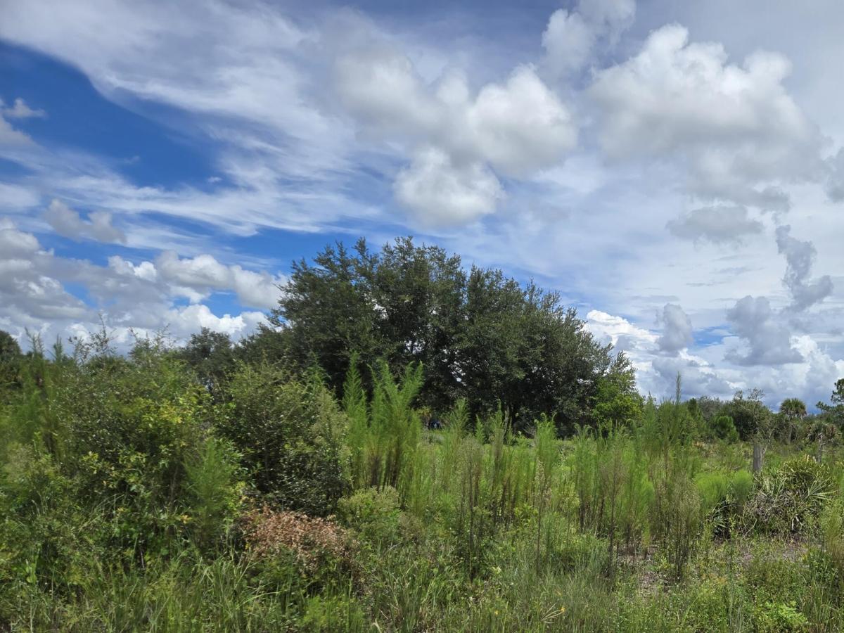 MLS #B26075618 image #0