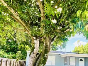 broker reciprocity