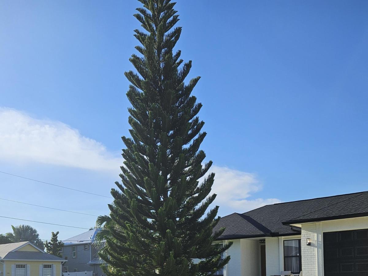 MLS #B26076689 image #0