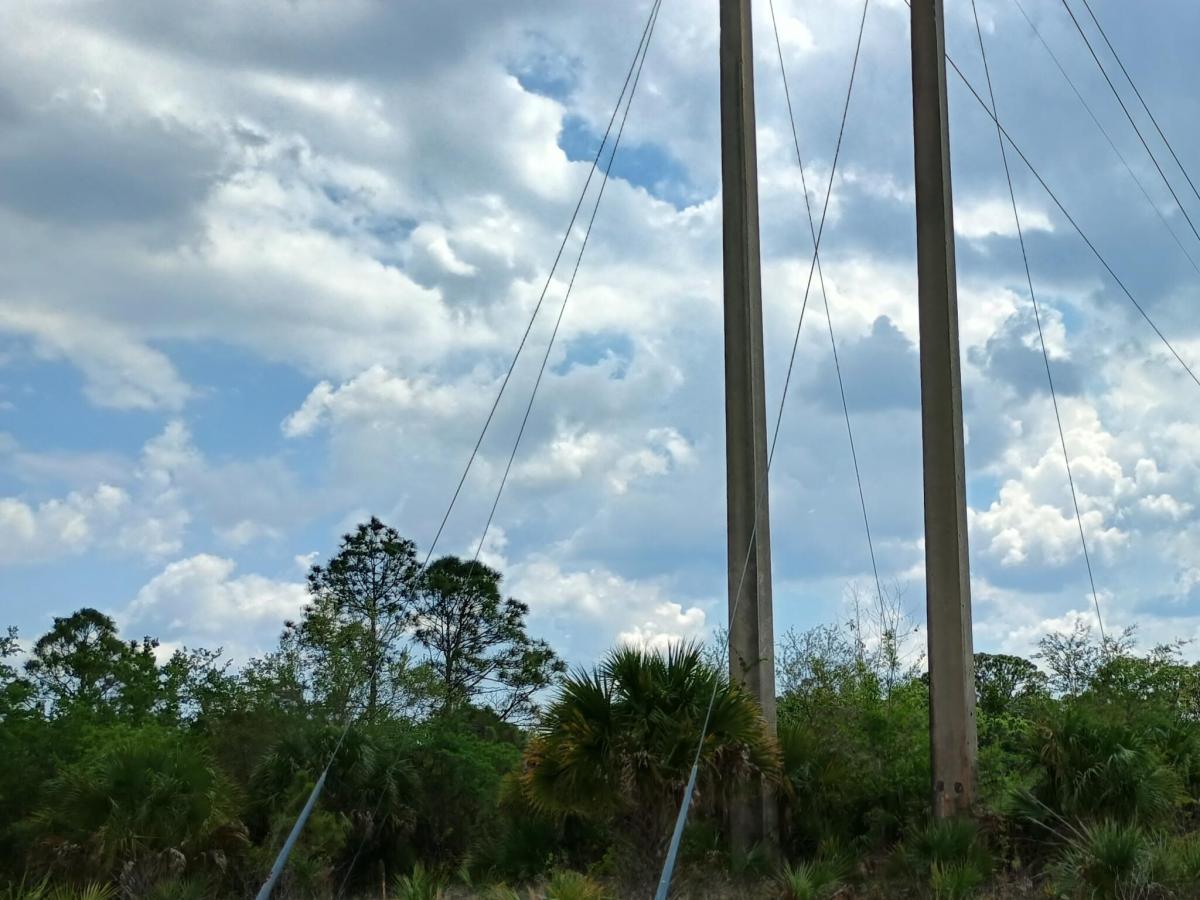 MLS #B26080753 image #0