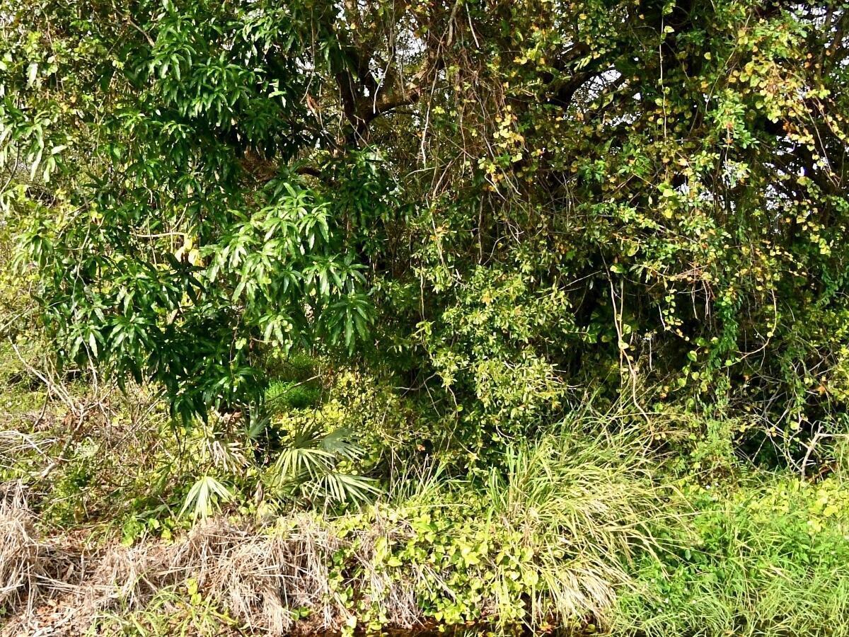 MLS #B26081629 image #0
