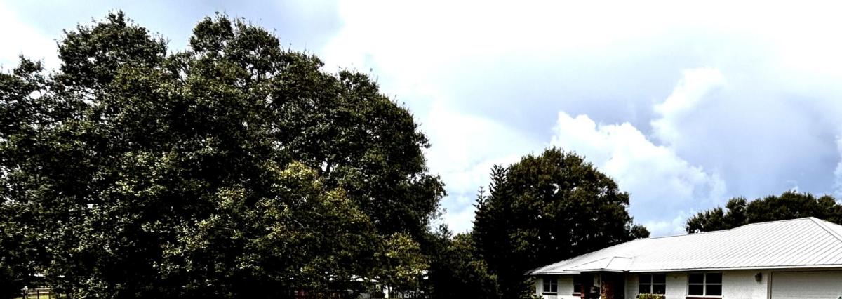 MLS #B26083869 image #0