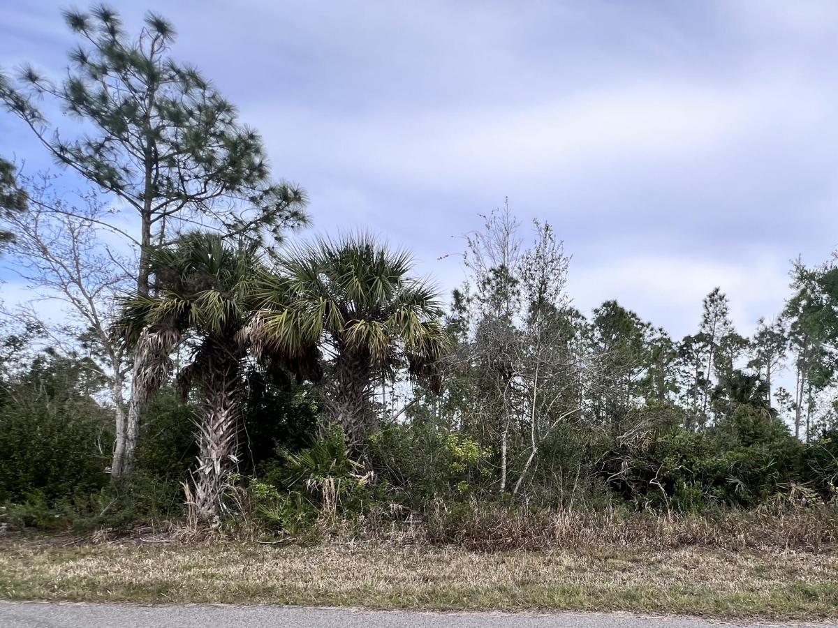 MLS #B26083896 image #0