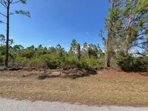 broker reciprocity