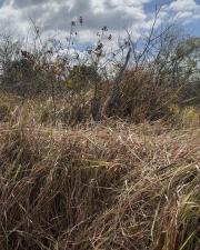 MLS #R11167398 image #0